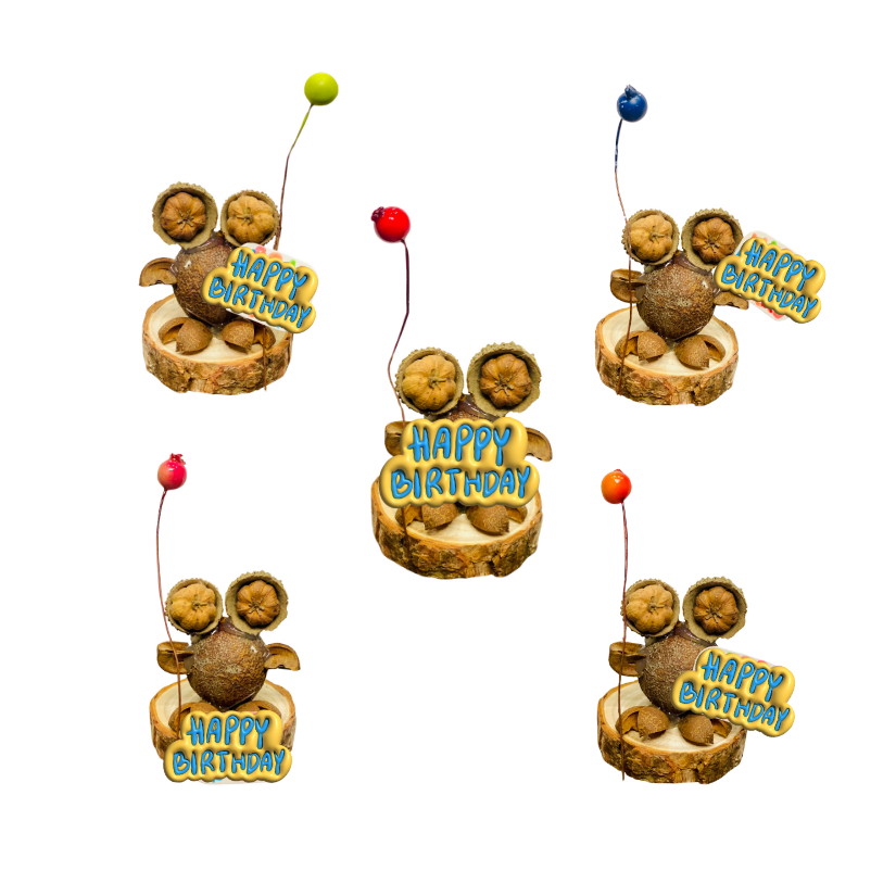 Birthday FROG