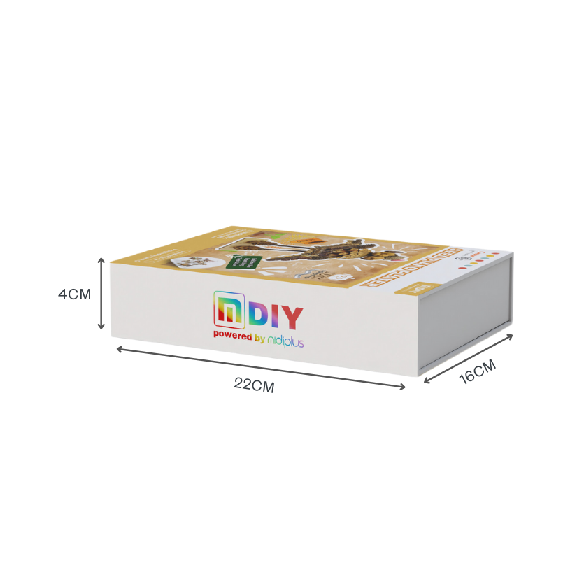 NGƯỜI CHƠI PIANO HẠT GIỐNG